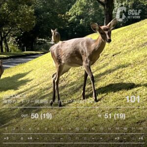 ゴルフラウンド日記：９０切りへの挑戦：ラウンドの記録　１４: 滝野カントリー倶楽部八千代コースでの挑戦